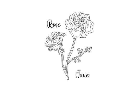 Birth Month Flowers - June - Rose - Line Art - Embroidery