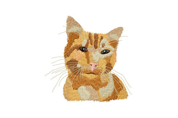 Cute Ginger Cat Review for Craft Fairs