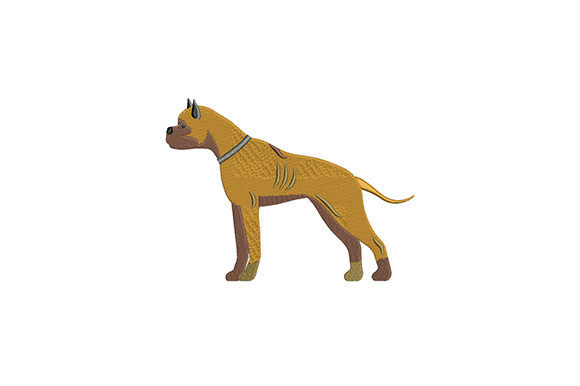 Staffy Terrier: A Designer's Honest Review